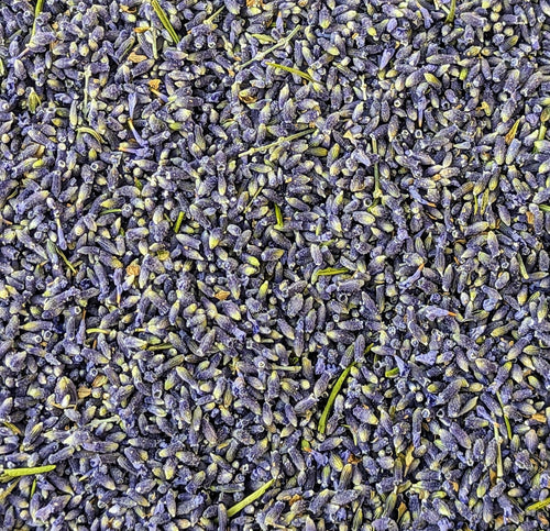 Close-up of dried lavender buds